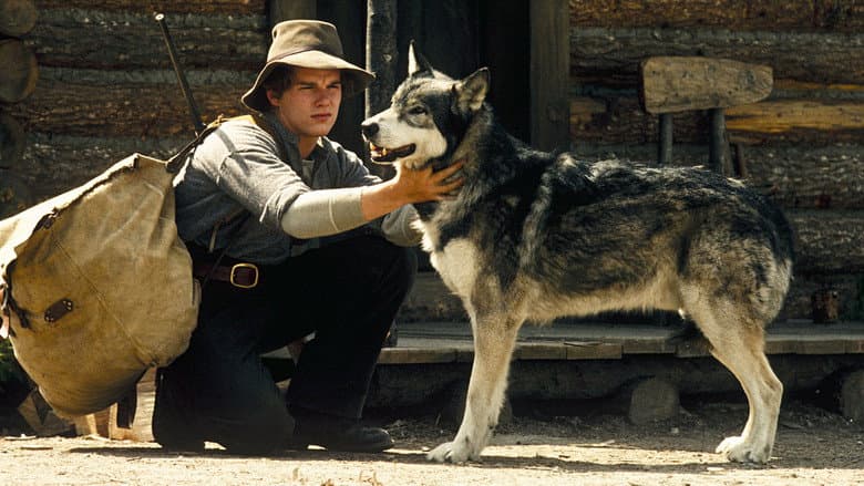 White Fang still