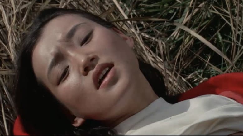 Semi-dokyumento: kankō basu - nure nure jakku still