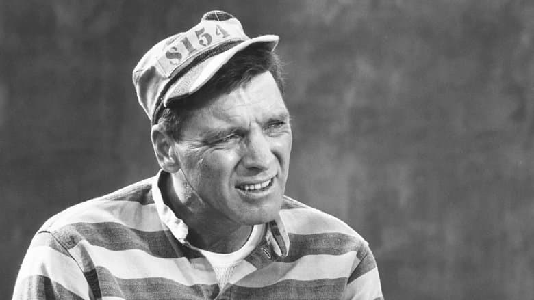 Birdman of Alcatraz still