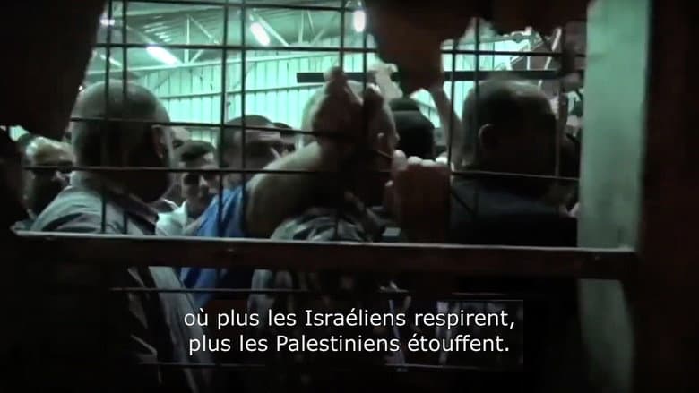 Beyond the Frontlines: Resistance and Resilience in Palestine still
