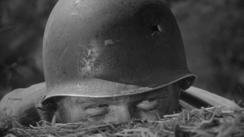 The Steel Helmet still