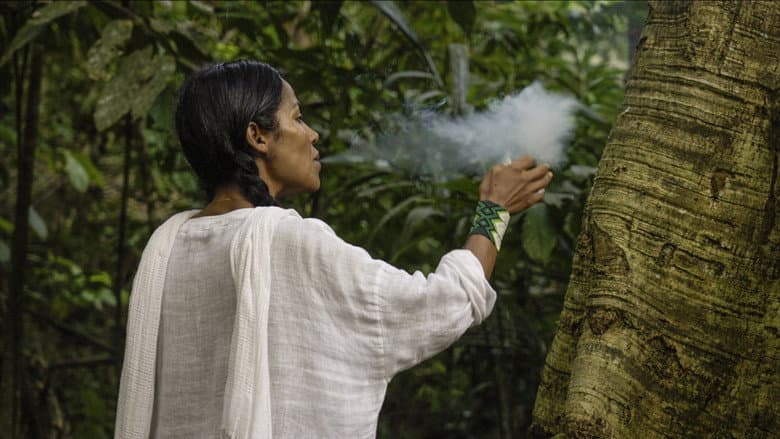 Curandera still