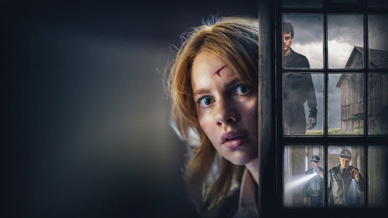 Girl at the Window still