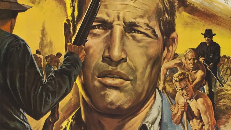 Cool Hand Luke still