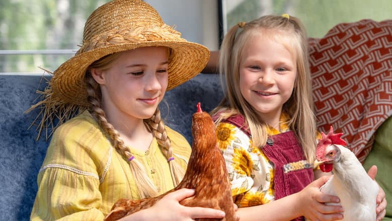 Hayflower, Quiltshoe and the Chicken still