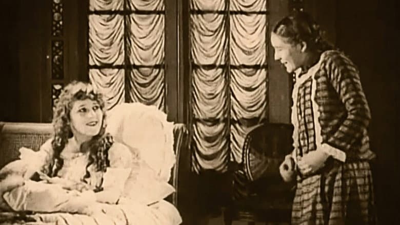 Stella Maris still