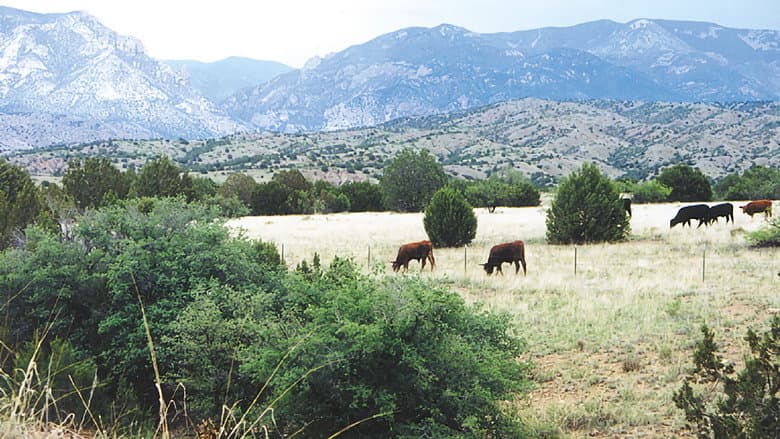 Whose Home on the Range? still