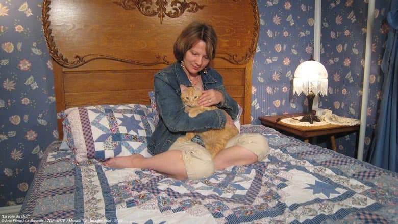 The Cat Way still