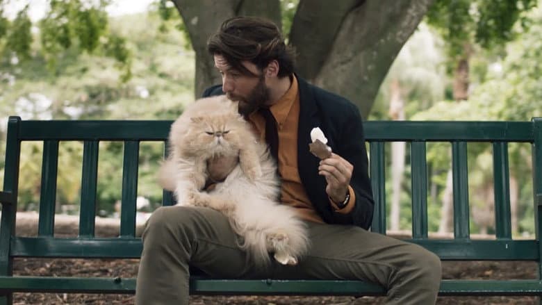 A Man and a Cat still