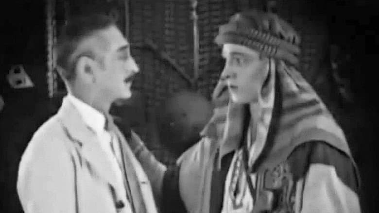 The Sheik still