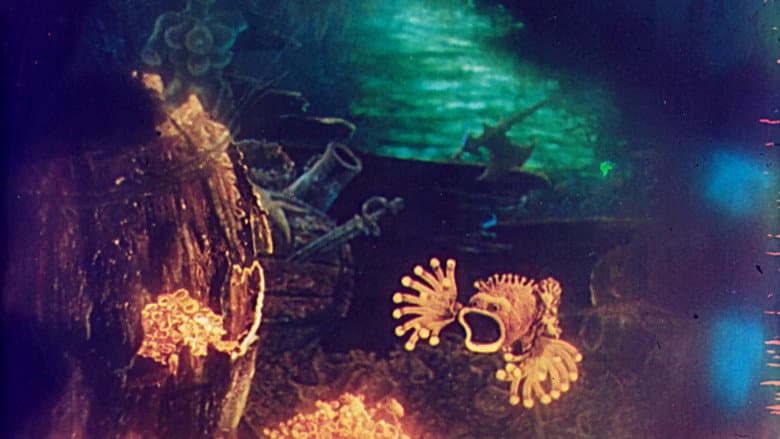 Cardinal Fish still