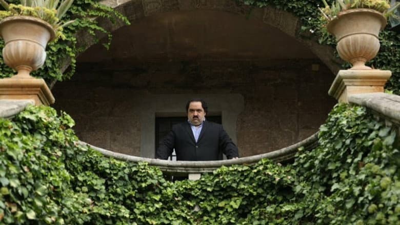 Il maledetto still