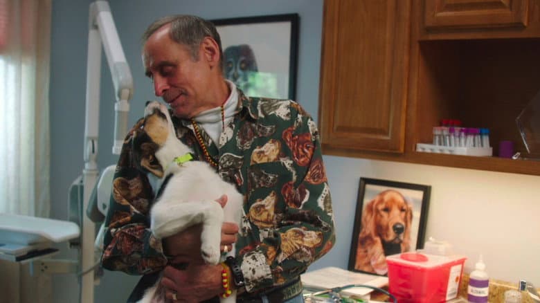 The Dog Doc still