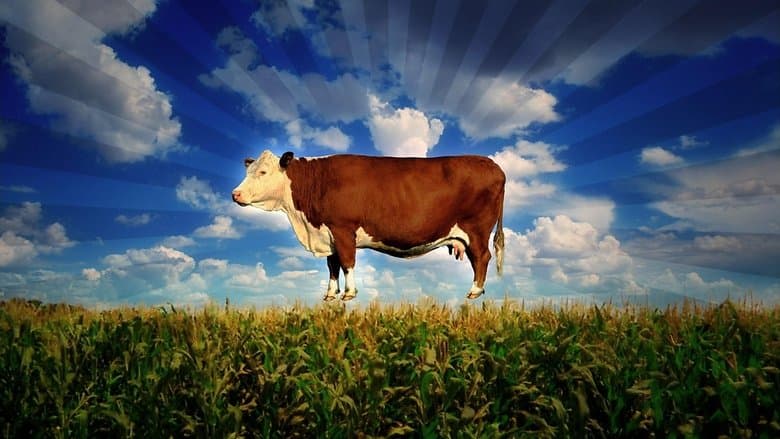 Food, Inc. still