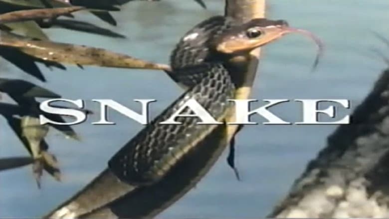 Predators of the Wild: Snake still