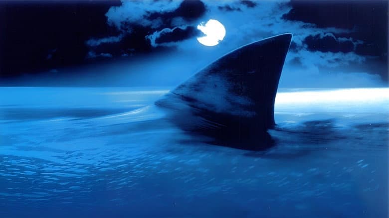 Shark Attack still