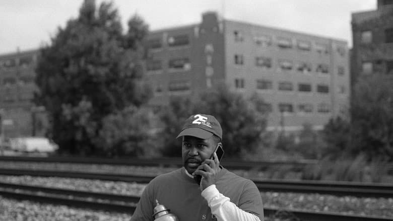 Dice 'n Steal still