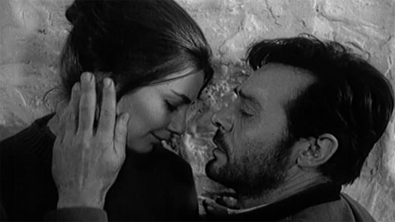 The Peach Thief still