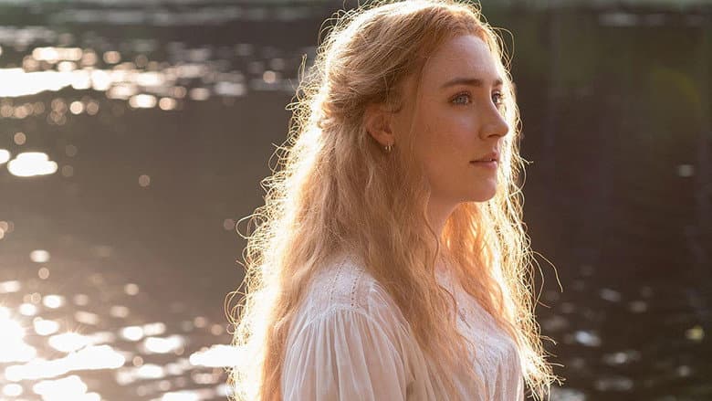 The Seagull still