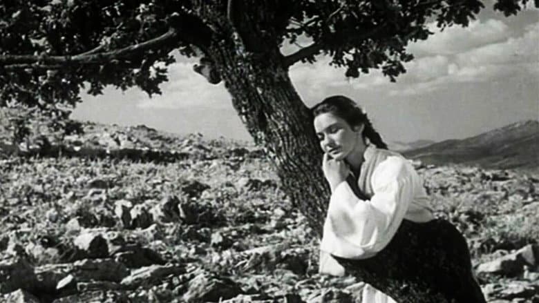 The Girl and the Oak still