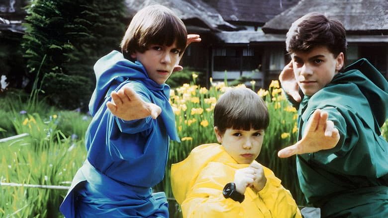 3 Ninjas Kick Back still
