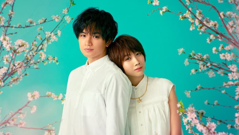 Love Like the Falling Petals still