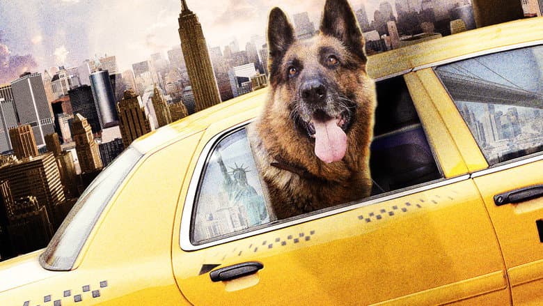 Cool Dog still