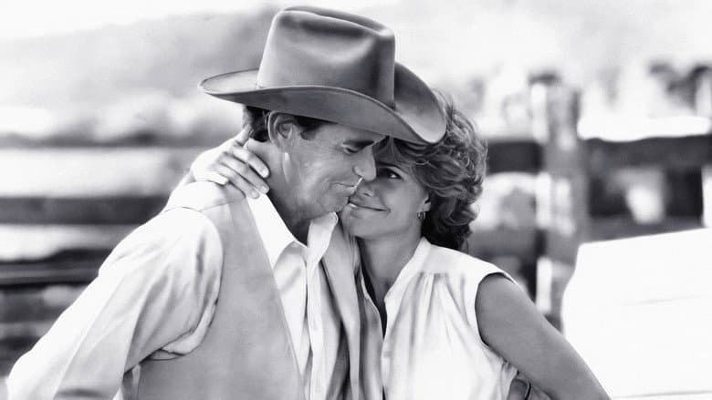 Murphy's Romance still