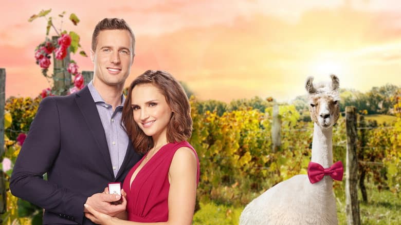 Valentine in the Vineyard still