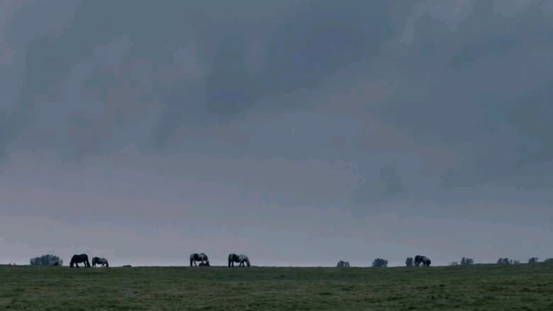 The Selfish Giant still