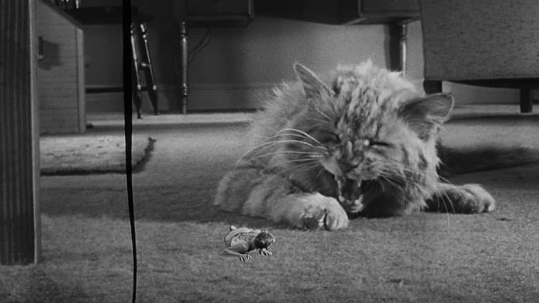 The Incredible Shrinking Man still