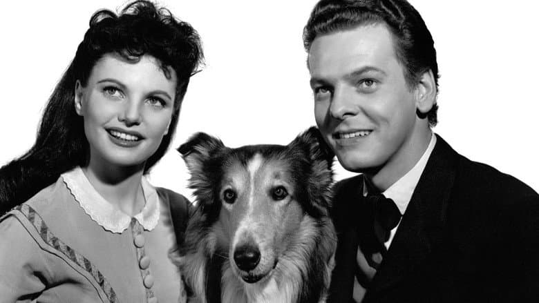 Challenge to Lassie still