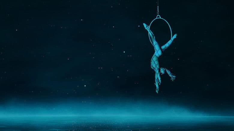 Cirque du Soleil: Without a Net still