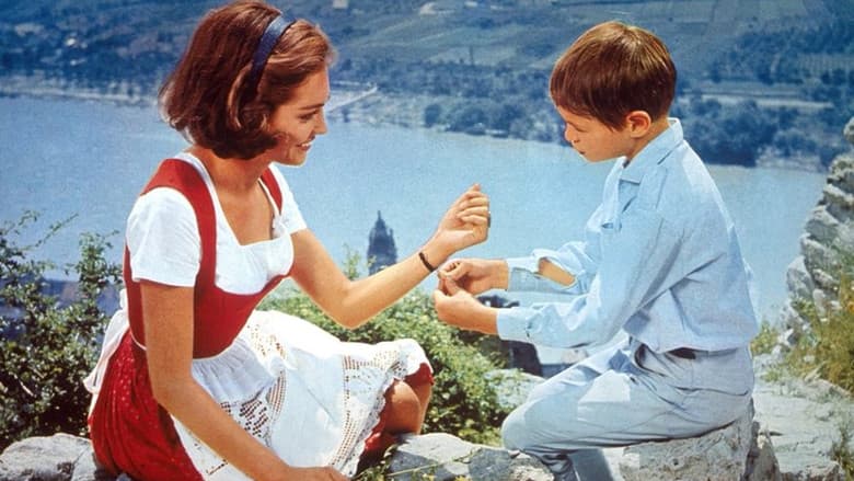An der Donau, wenn der Wein blüht still