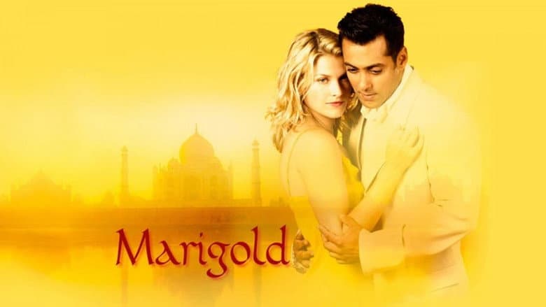 Marigold still