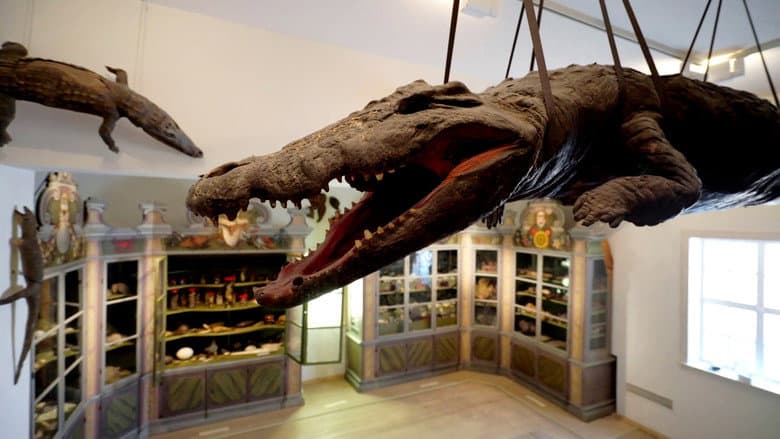 The Cultural History of Museums still