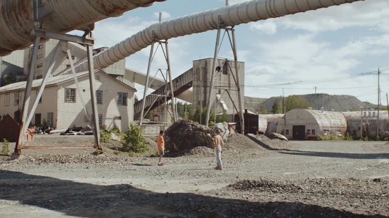 Fauve still