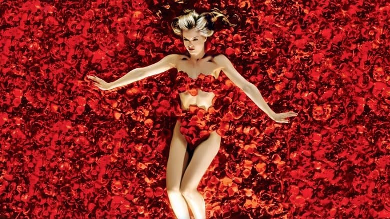 American Beauty still
