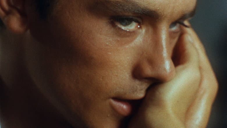 Purple Noon still