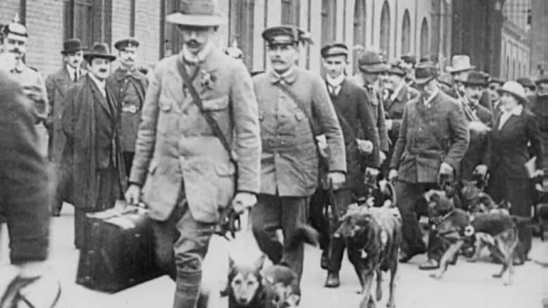 Red Cross Dogs still