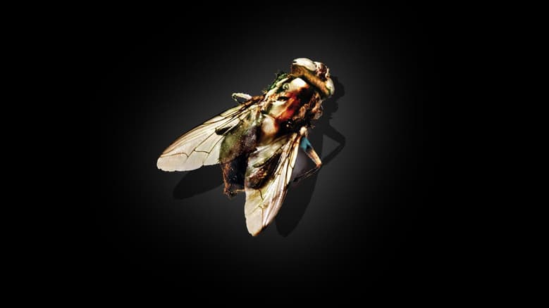 The Fly still