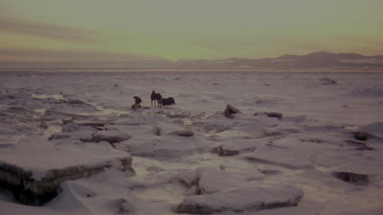 Kamouraska still