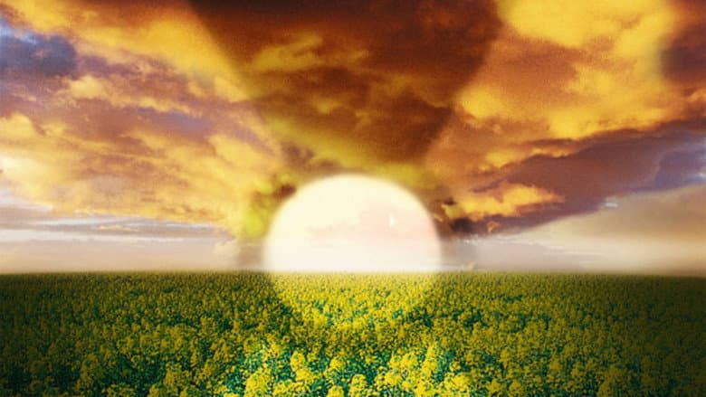 The Cloud still