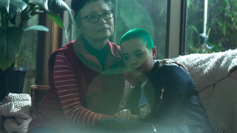 Hedgehog still