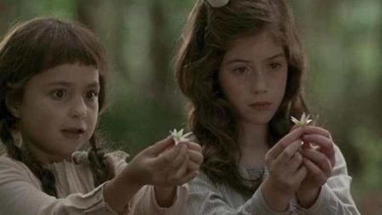 Photographing Fairies still