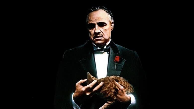The Godfather still