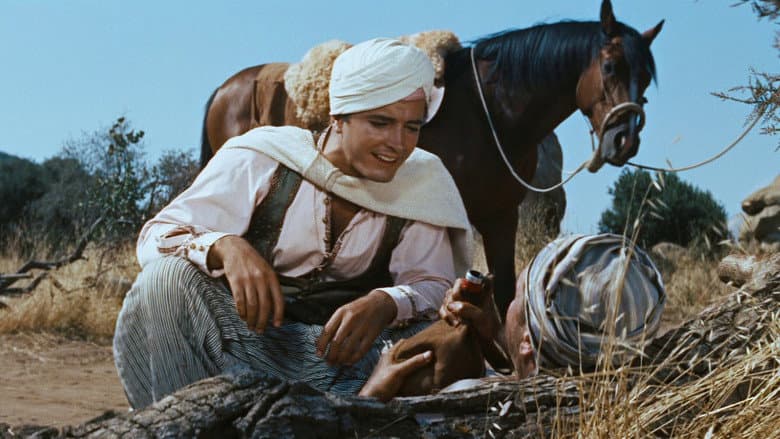 The Adventures of Hajji Baba still