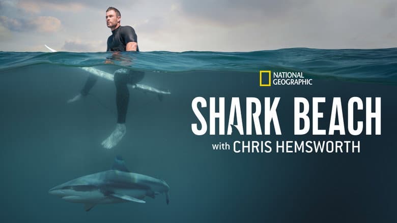 Shark Beach with Chris Hemsworth still