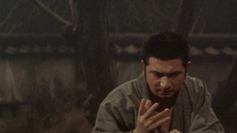 New Tale of Zatoichi still