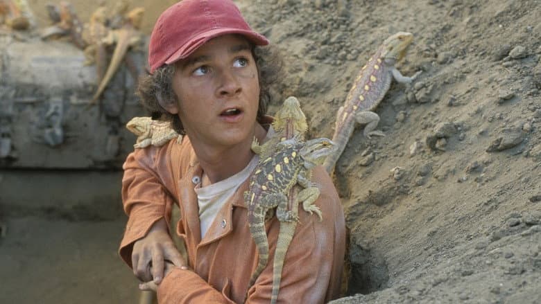 Holes still